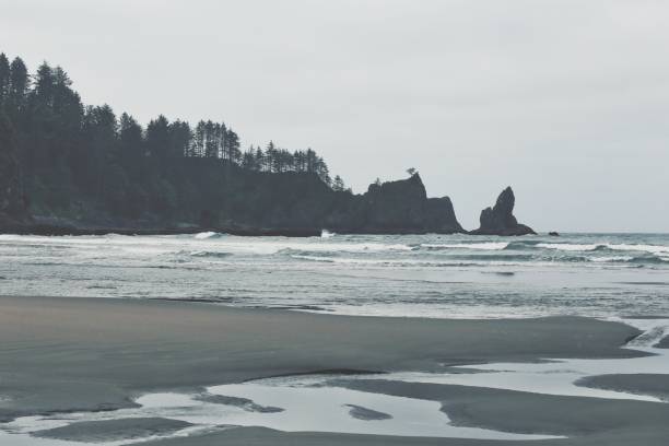 istock Quillayute Needles, Rocky Shore, Olympic Coastline, Washington 858662324