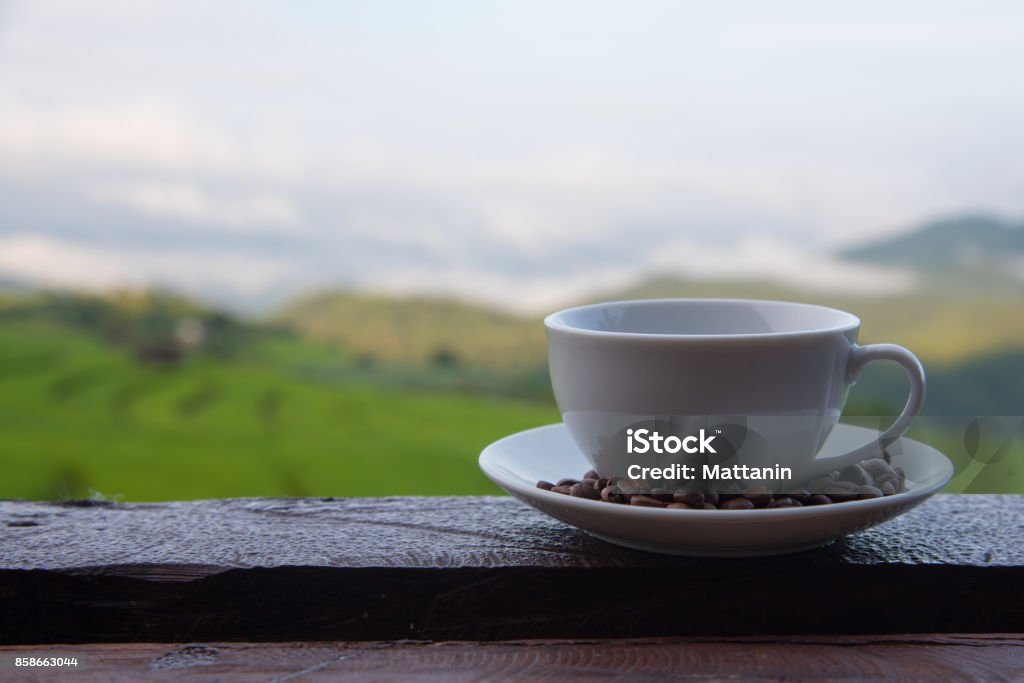 Blanco taza de café caliente y granos de café puso entremezclado en el plato en la mesa de madera con fondo de campo de arroz verde, papel pintado - Foto de stock de Acostado libre de derechos