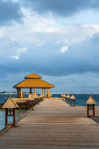 istock A dock leading into clear blue ocean water 858663306