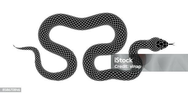 Vector Snake Black Silhouette Isolated On A White Background Stock Illustration - Download Image Now