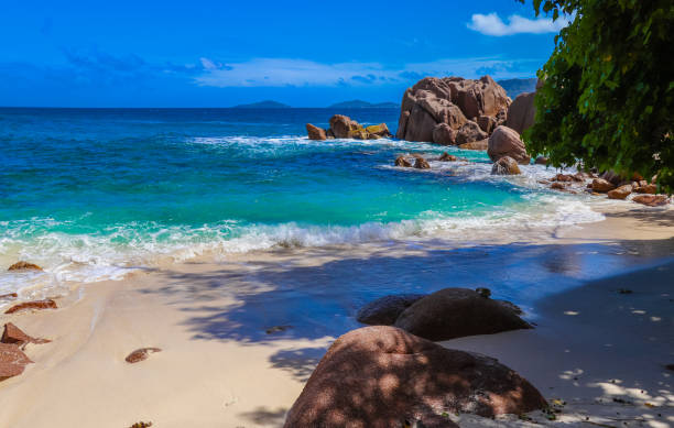istock Cove Caiman beach. The Digue island. Seychelles 858674630