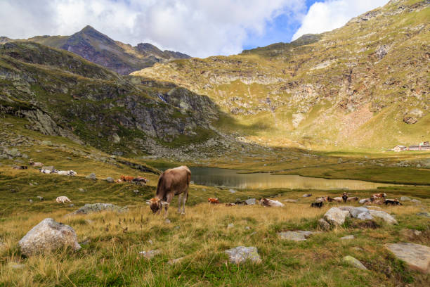 istock Spronser Lakes in south Tyrol, Italy 858678234