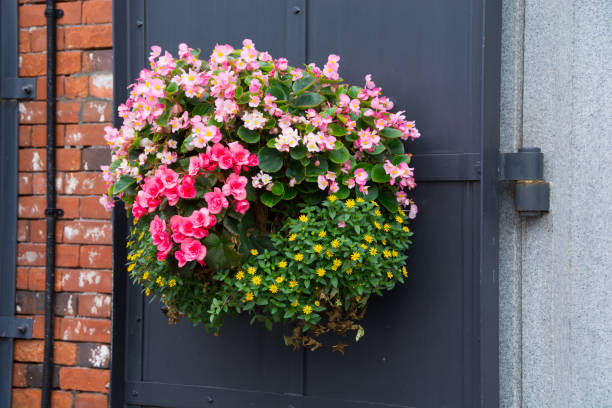 istock Door floral decoration 858681554