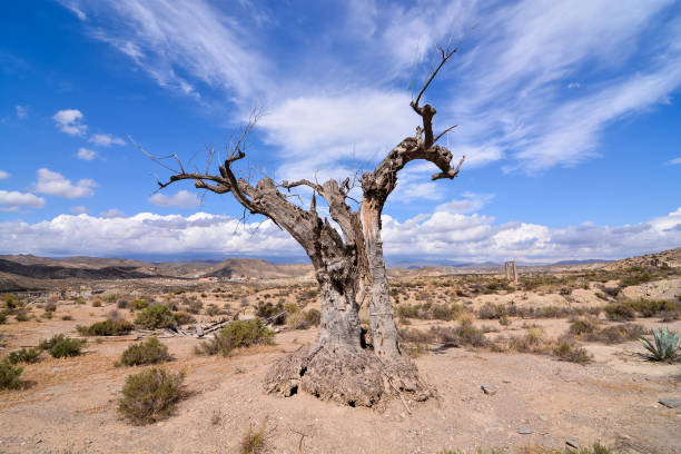 istock Desert Tabernas in Almeria Province Spain 858682076
