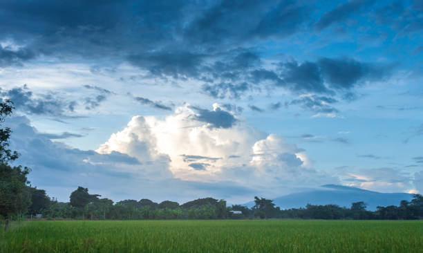 istock farmland countryside Thailand view / Beautiful clouds 858682548