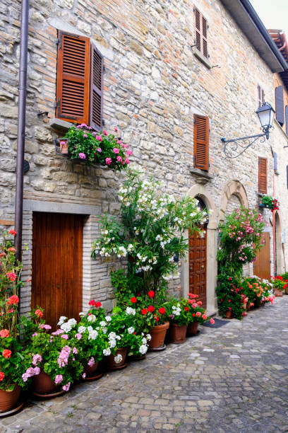 istock Frontino, old village in Montefeltro (Marches, Italy) 858688964