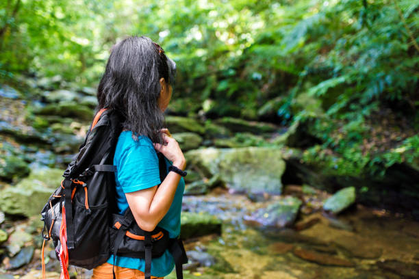 istock Exploring a forest in Okinawa Japan 858691740
