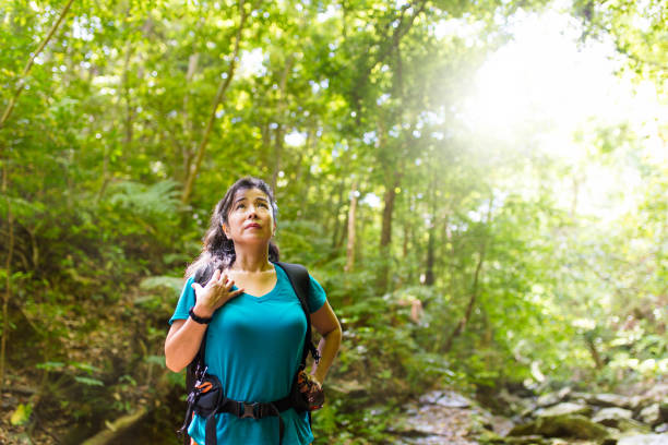 istock Exploring a forest in Okinawa Japan 858691774