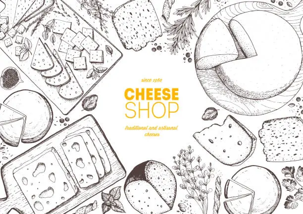 Vector illustration of Cheese top view frame. Vector illustration with a collection of cheese. Engraved style image. Dairy farm products.