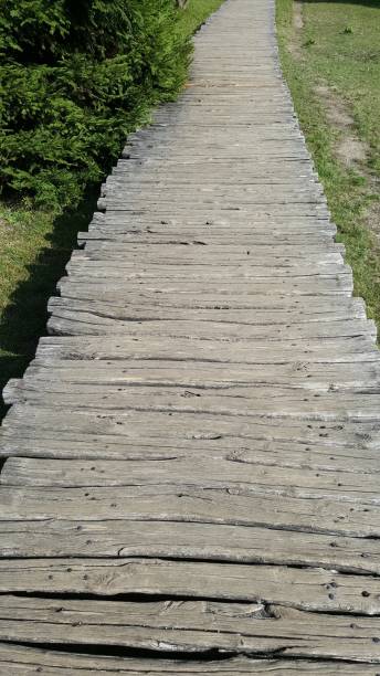 istock gray bridge for walking between the lakes and the waterfalls 858702970