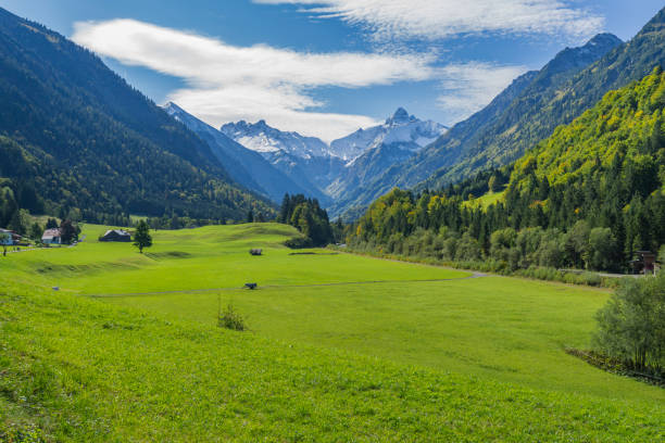 istock View to Trettach Mountain Peak / Bavaria 858706162