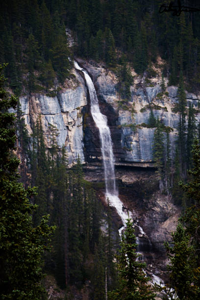 istock Waterfall outside of Lake Jasper 858711132