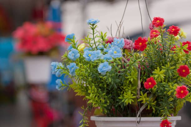 Hanging Artificial flowers pots stock photo