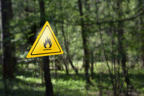 istock Warning sign for fire danger in the forest. Danger of forest fire 858718794