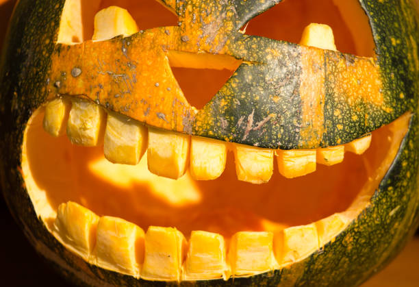 istock Pumpkin harvest in the nature 858732902