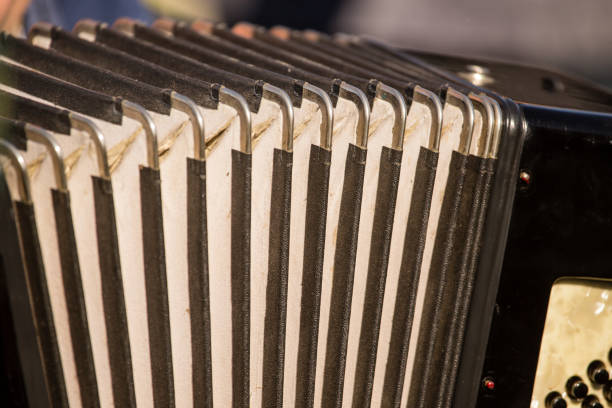 istock musician plays the old accordion 858733090