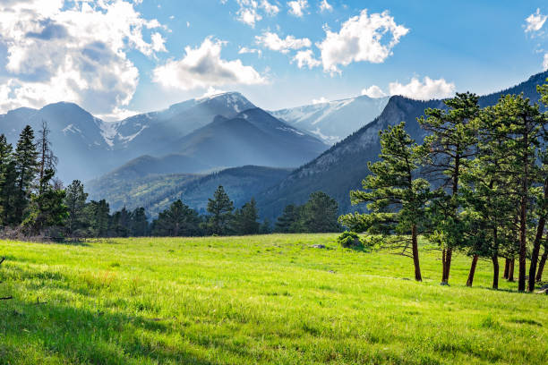 Meadow in Rocky Mountain National Park Idyllic summer landscape in Rocky Mountain National Park, colorado, with green mountain pastures and mountain range in the background. rocky mountains north america photos stock pictures, royalty-free photos & images