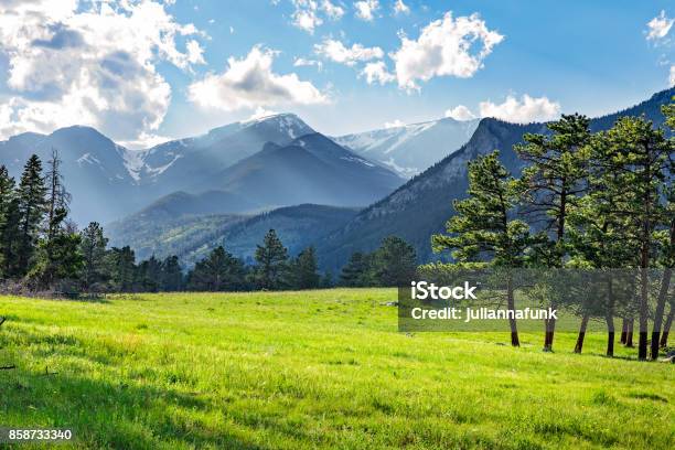 Meadow In Rocky Mountain National Park Stock Photo - Download Image Now - Mountain, Landscape - Scenery, Colorado