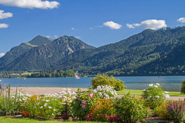 istock summer at lake Schliersee 858734226