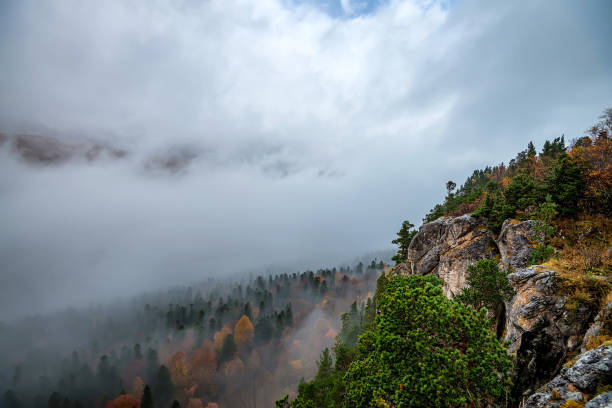 istock Autumn landscape with mountain forest 858741356