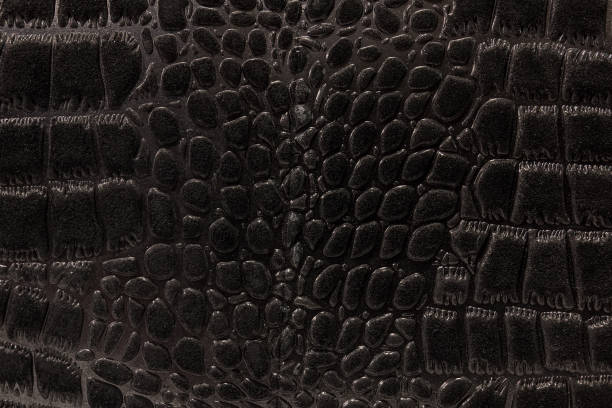 istock the texture of the skin is gray 858747754