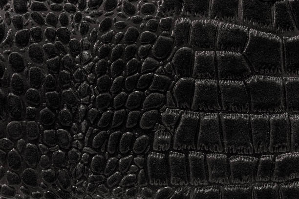 istock the texture of the skin is gray 858747832