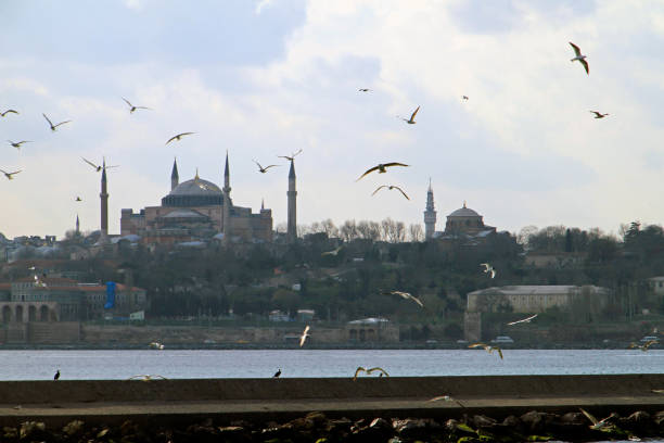 istock Seagulls fill the sky near the river Bosphorus 858755722
