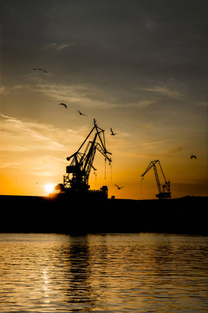 Cranes at Sunset in Harbor of Pula in Croatia