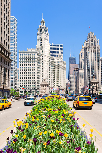 Stock photograph of Michigan Avenue with view towards the Magnificent Mile and the Art Deco Wrigley Building (left) and neo-Gothic Tribune Tower