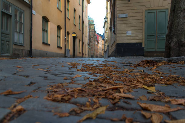 istock Autumn leaves on the road 858787124