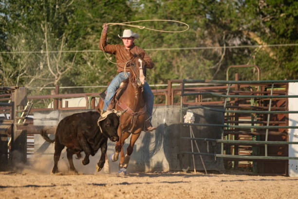 istock Cowboy Lifestyle in Utah 858790952