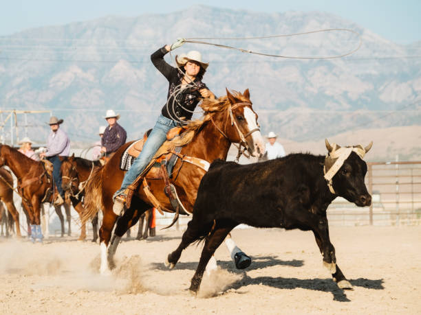 istock Cowboy Lifestyle in Utah 858790966