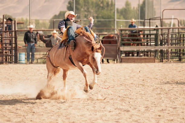 istock Cowboy Lifestyle in Utah 858791028