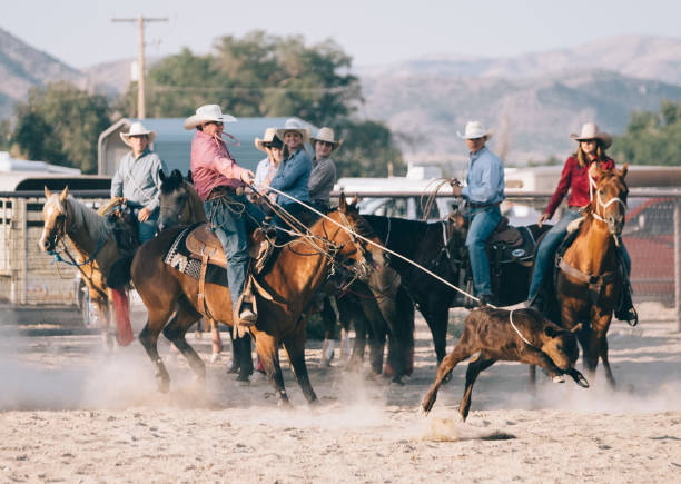 istock Cowboy Lifestyle in Utah 858791062