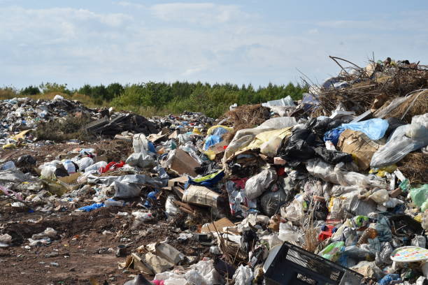 istock Rubbish Landfill Site in Nature 858791440