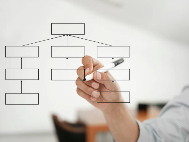 Businessman drawing organization chart Businessman working on organization chart transparent wipe board stock pictures, royalty-free photos & images