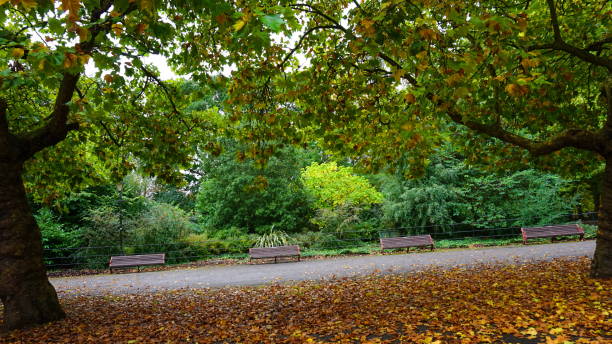 otoño en londres - battersea park fotografías e imágenes de stock