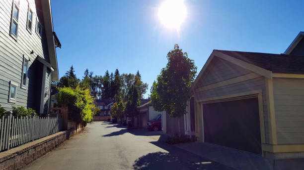 istock The Perfect Residential Back Alley 858807448