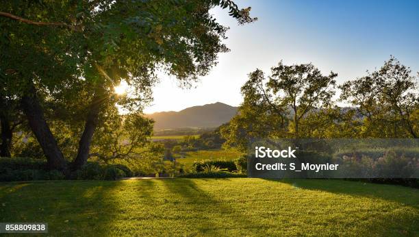 Sunset Lawn And A View Stock Photo - Download Image Now - Yard - Grounds, Sunset, Lawn