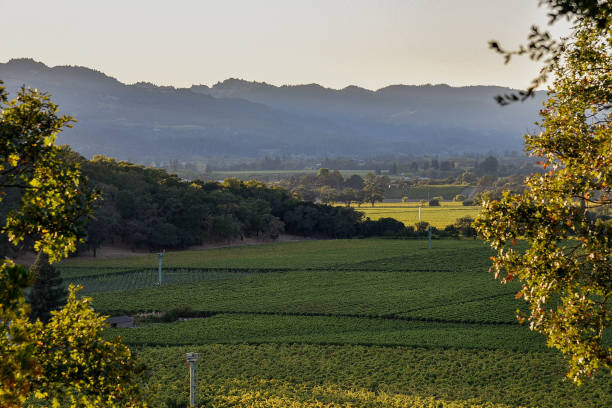 istock Sunset over the Napa Valley 858809950