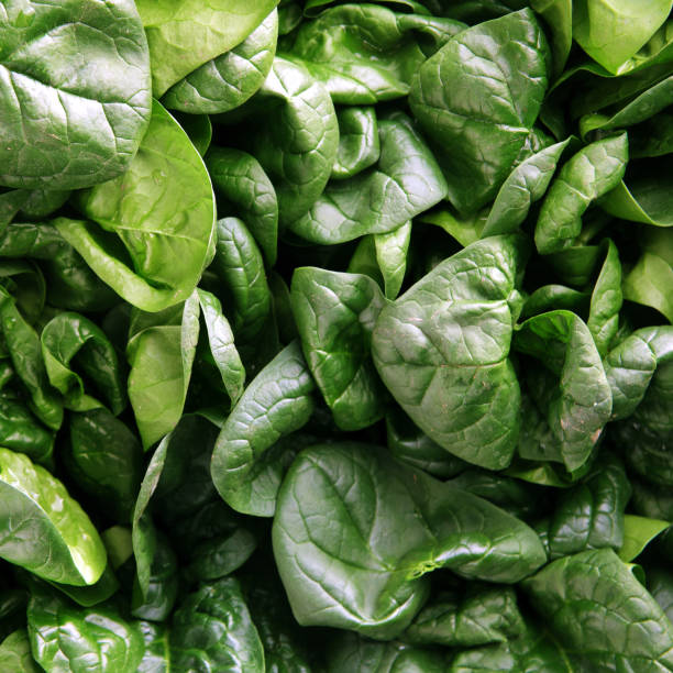 istock leaves of fresh spinach 858816736