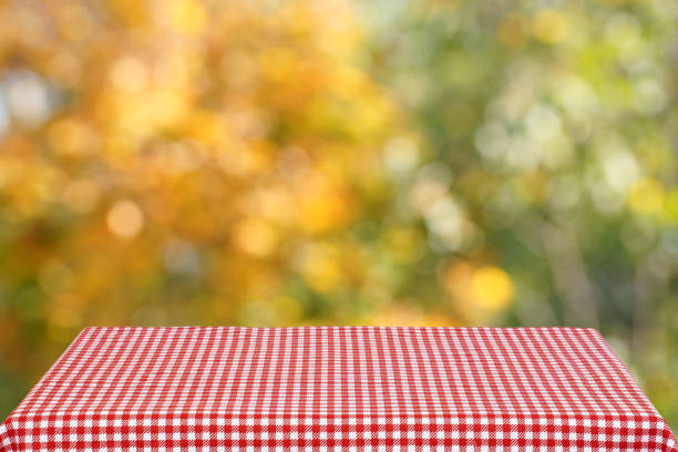 istock Empty table with a red checkered cloth in the autumn garden. Blurred background. 858822018