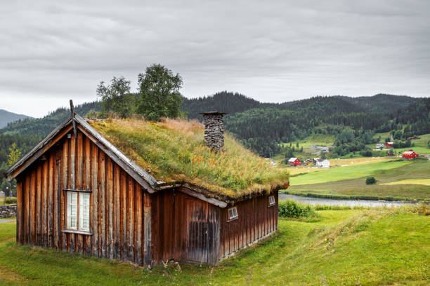 従来の緑の草の屋根のノルウェーの山の丘の上の小さな家。 - landscape hill green grass ストックフォトと画像