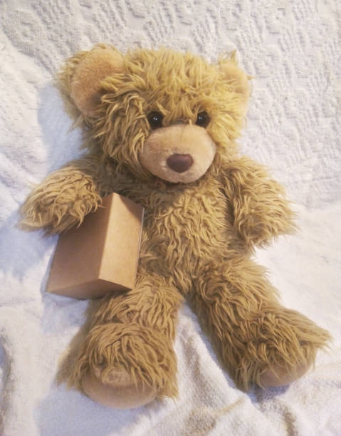 istock A toy bear cub sitting with a box on a white background, tender colors 858824866