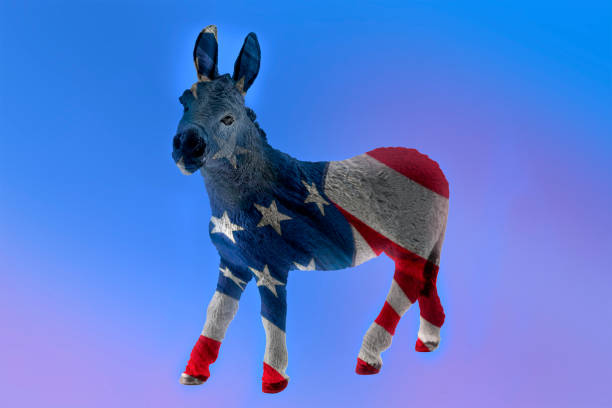 doble exposición de la bandera americana y el burro democrático - democratic donkey fotografías e imágenes de stock