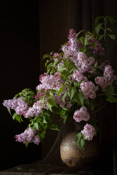 istock Branches of lilac in an old vase 858834792
