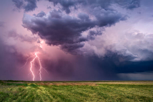 Thunderstorm with lightning bolts Thunderstorm with lightning bolts and dark, dramatic clouds over a field. cumulonimbus photos stock pictures, royalty-free photos & images