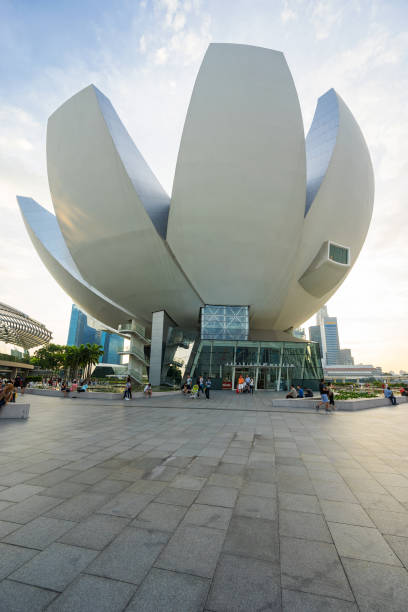 museo artscience de singapur marina bay - artscience museum fotografías e imágenes de stock