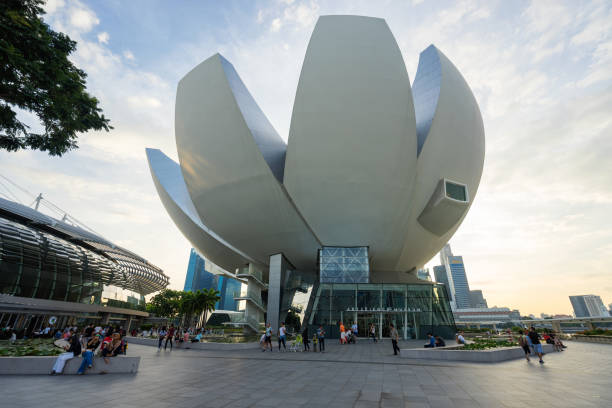 музей artscience в марина бэй сингапур - artscience museum стоковые фото и изображения