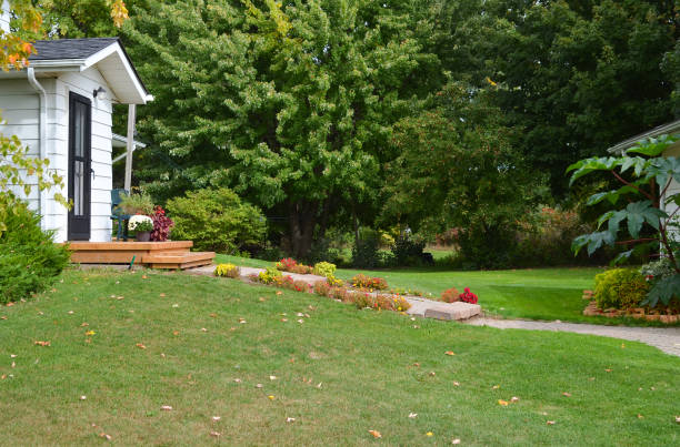 istock 4 Seasons - Garden Colours in Autum 858855130